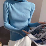 Alice Turtleneck Sweater